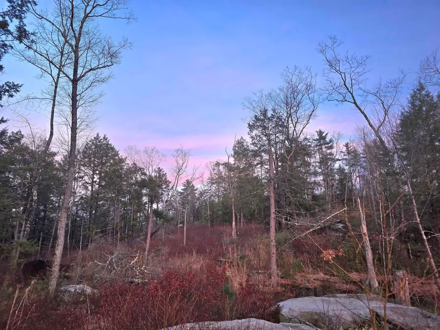 Map 104 Berry River Road #3 lots, Barrington, NH 03825 - #3