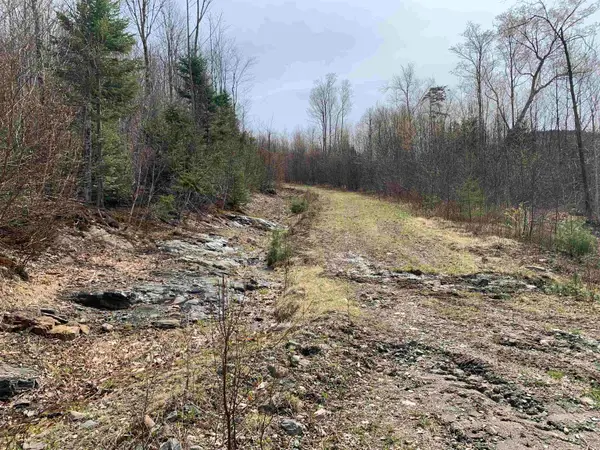 Lot 22.4 Washburn Road, Columbia, NH 03576