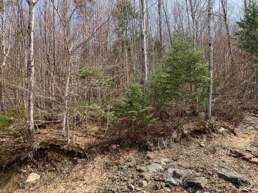 Lot 22.4 Washburn Road, Columbia, NH 03576 - #3
