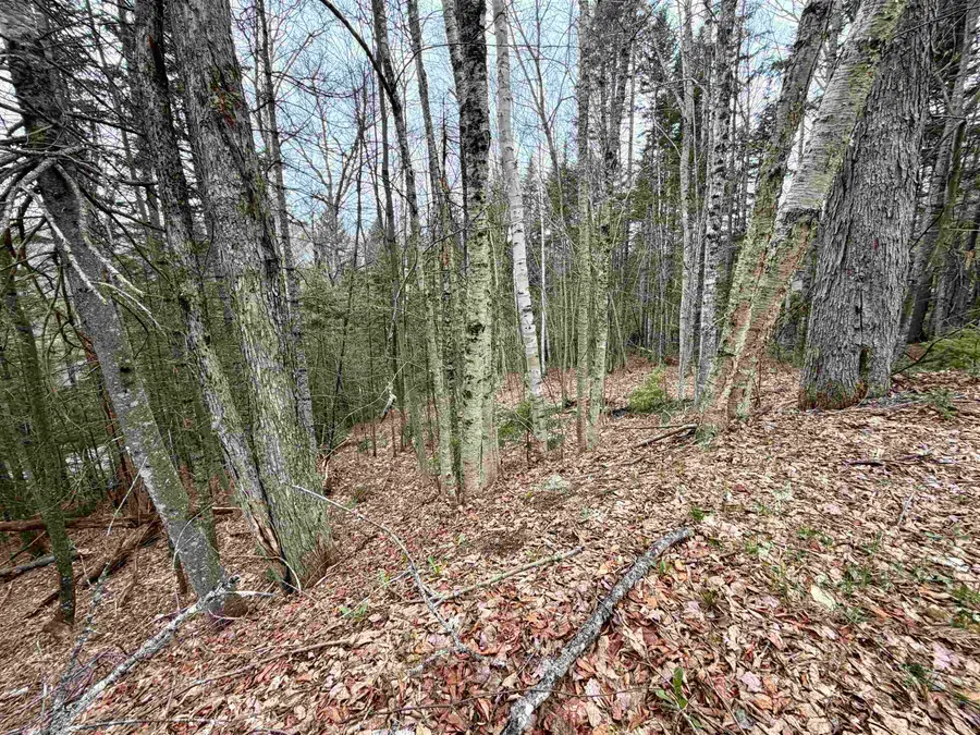 109 Snows Mountain Road #12, Waterville Valley, NH 03215 - #3