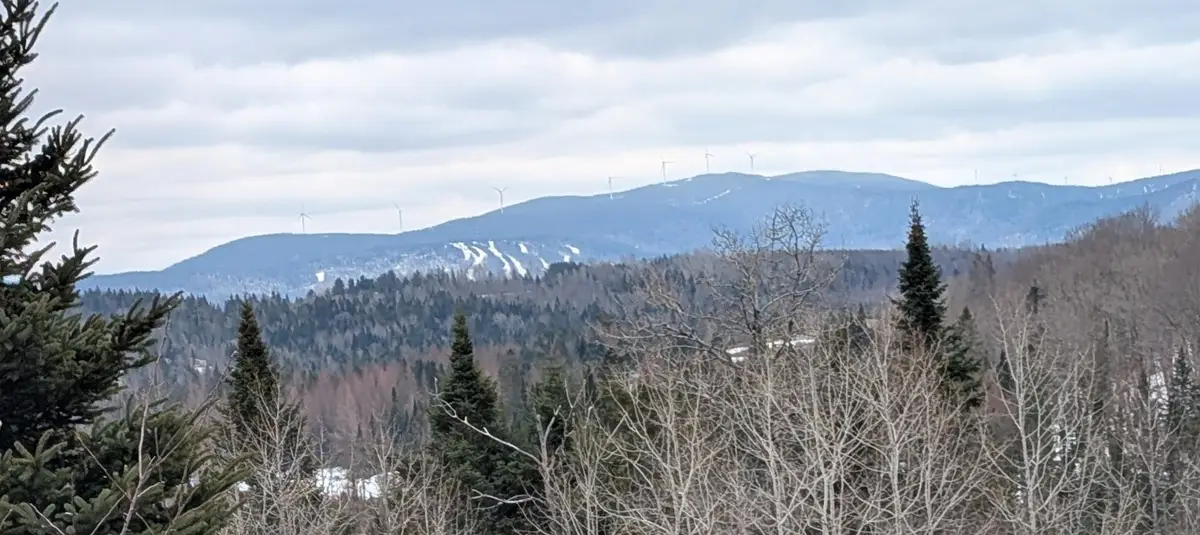 0 Bear Rock Road, Stewartstown, NH 03576 - #1