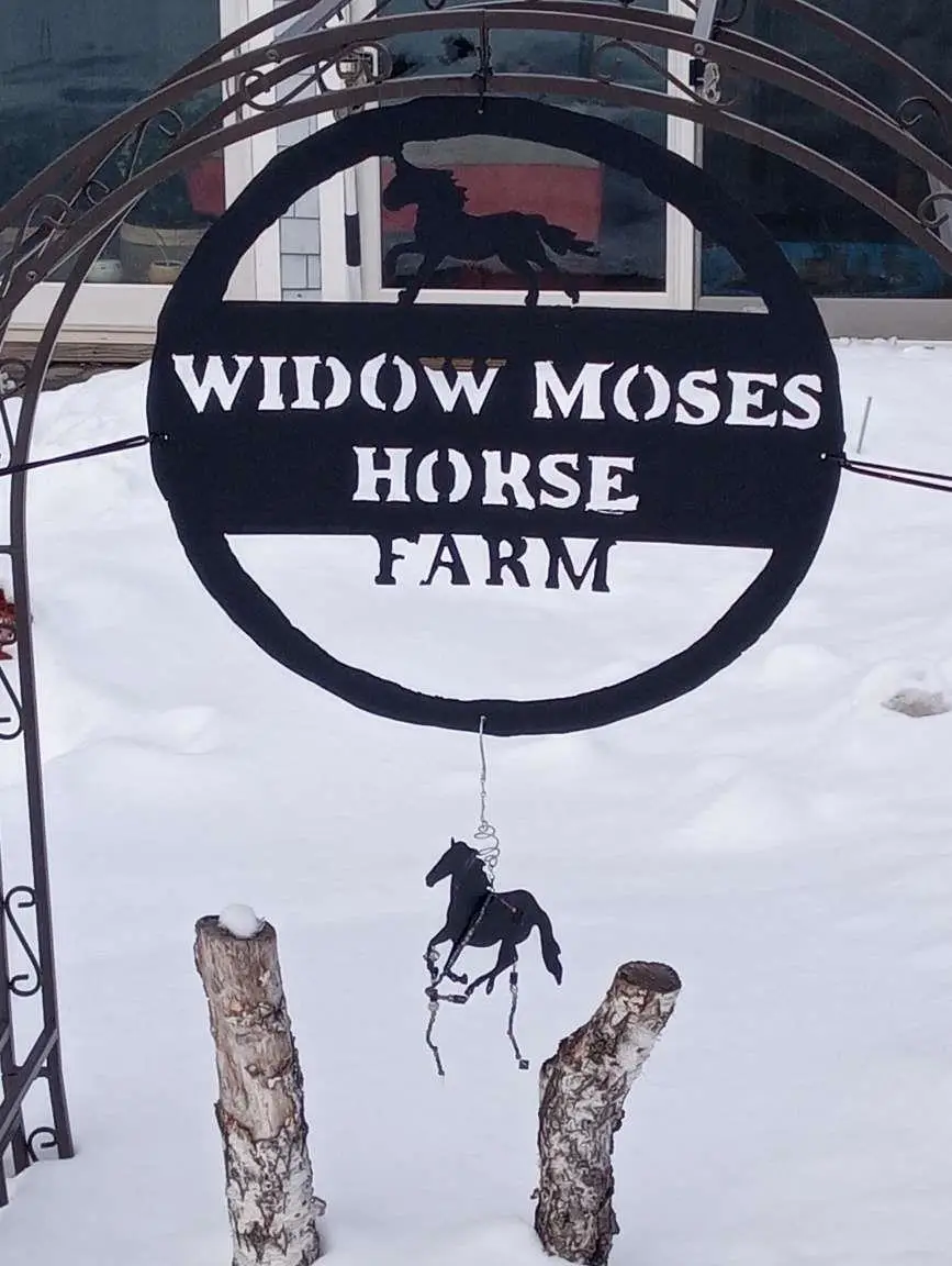65 Widow Moses Road, Berlin, VT 05602 - #2