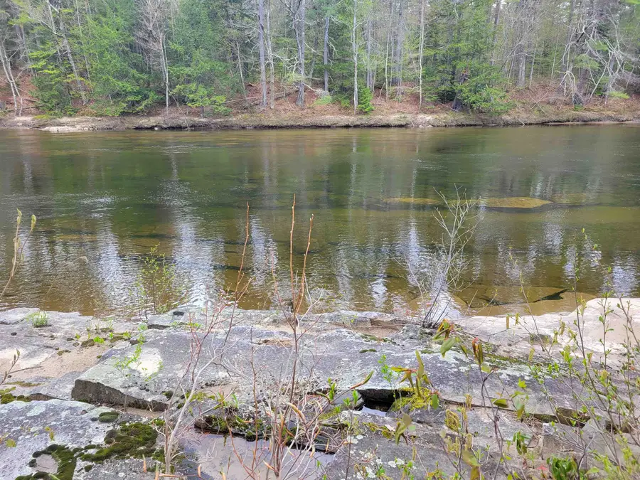 56 Bryant Drive, Conway, NH 03818 - #2