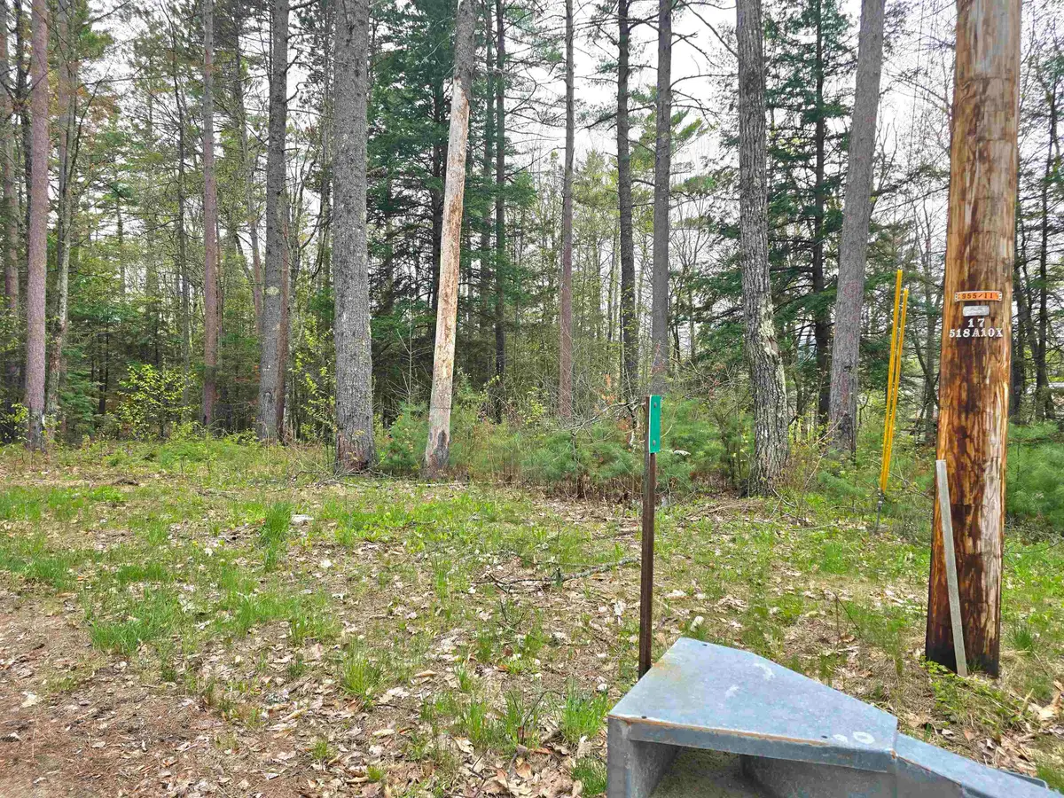 Lot 260 Thompson Road, Conway, NH 03860 - #1