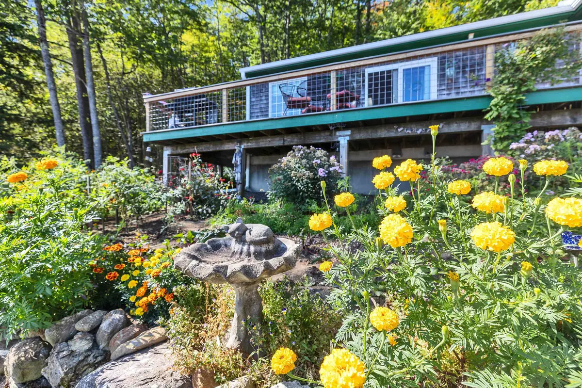 65 Nelson Road, Harrisville, NH 03450 - #1