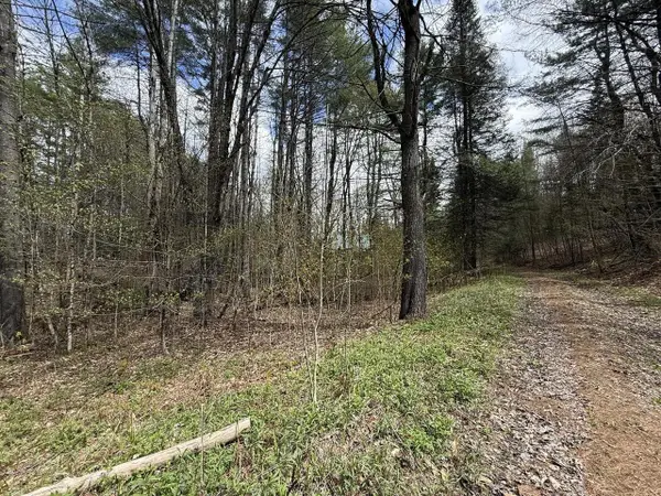 169 Jenkins Brook Road, Chelsea, VT 05038