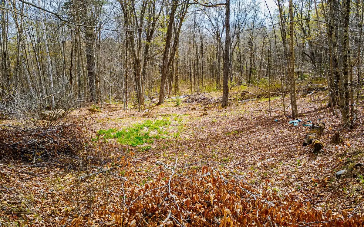 1053 Miller Pond Road, Grantham, NH 03753 - #1