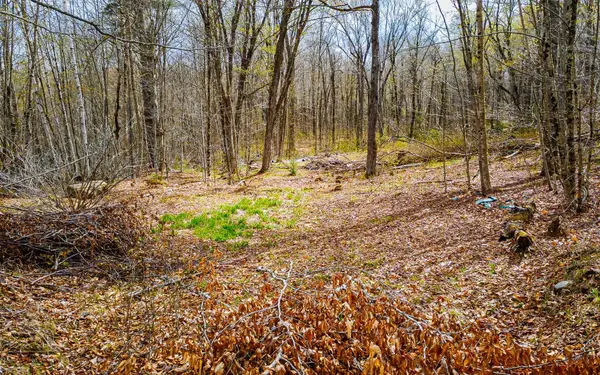 1053 Miller Pond Road, Grantham, NH 03753