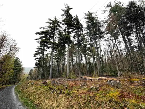 0 Bassett Hill Road, Fayston, VT 05673