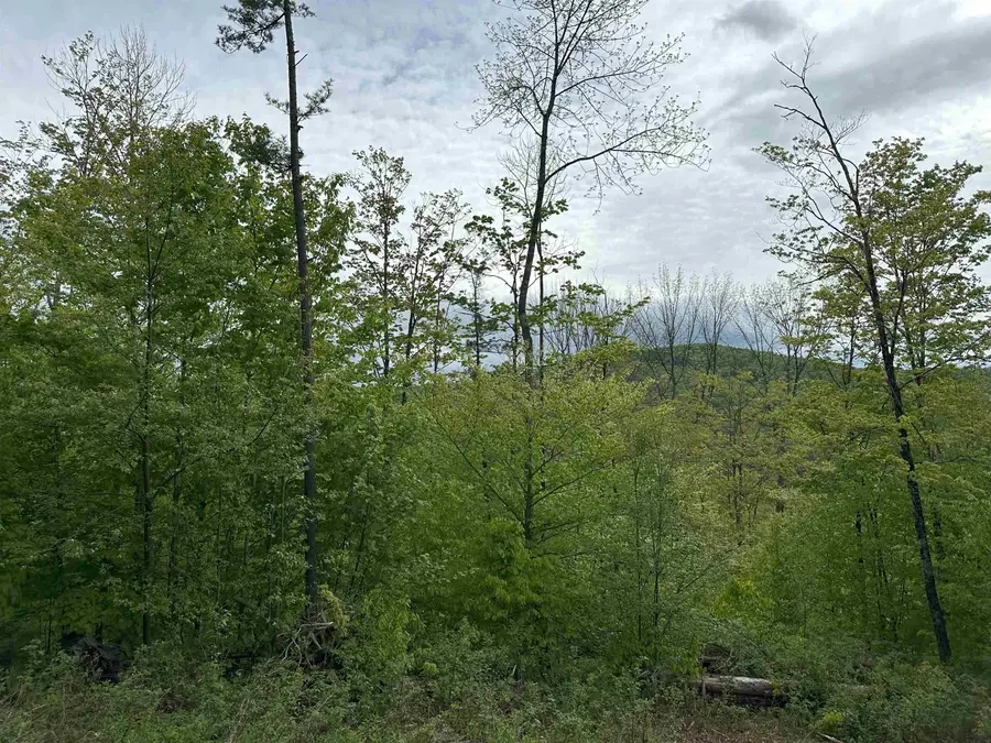 00 Hall Road, Chelsea, VT 05038 - #2