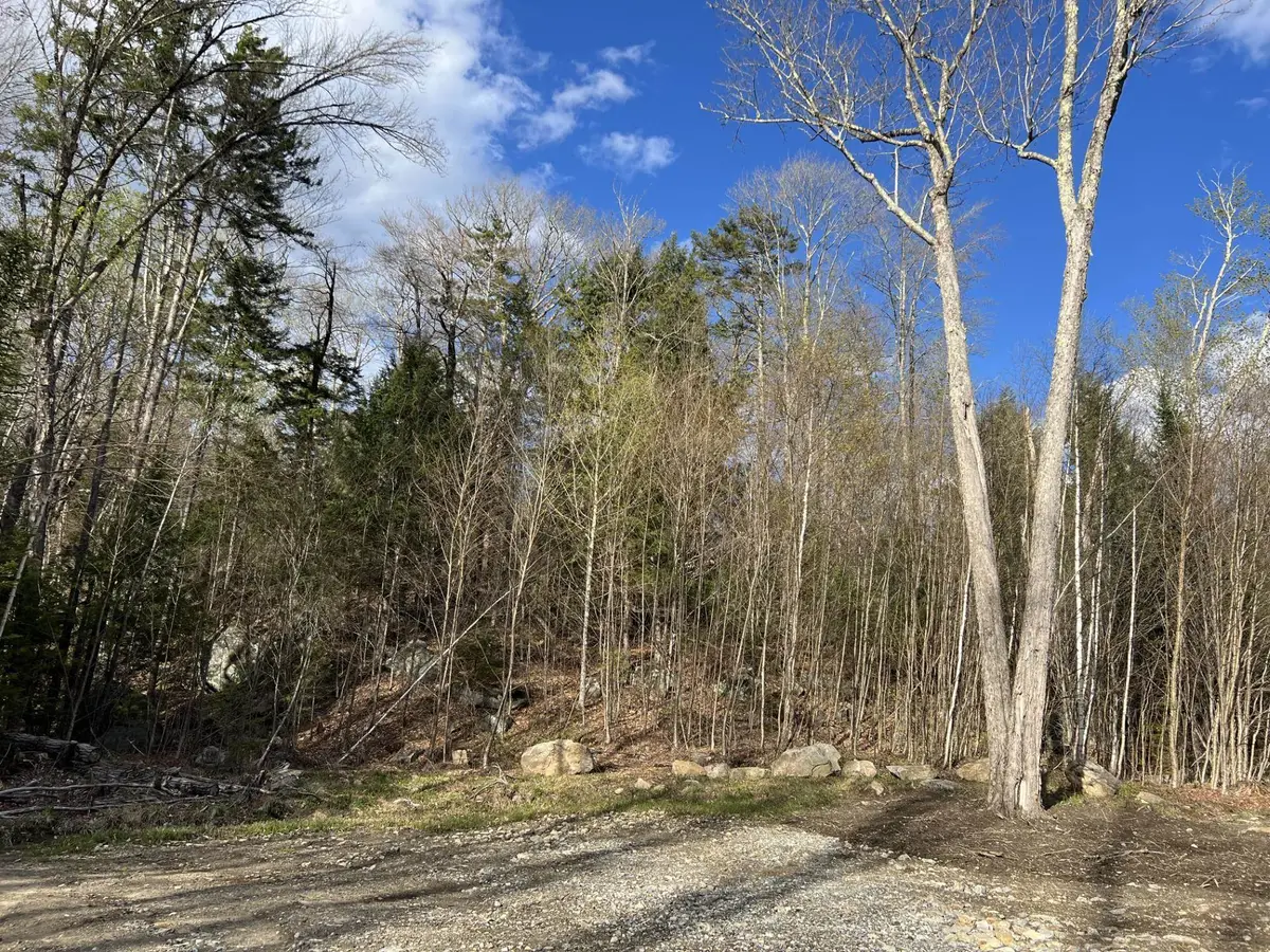 244 Rowentown Road #Lot 1, Wentworth, NH 03282 - #1