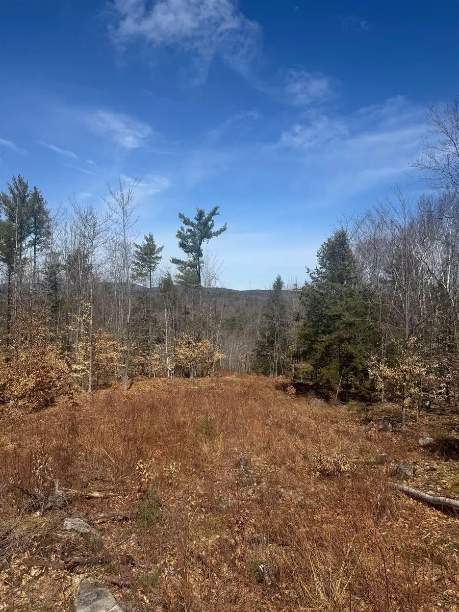 8 Wakefield North Road, Wolfeboro, NH 03894 - #2