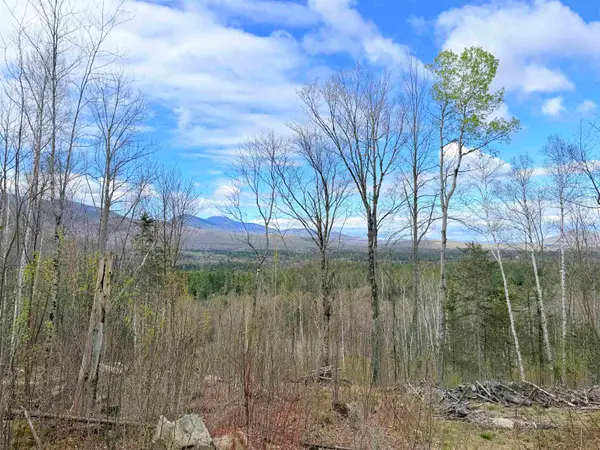 00 Route 3 North #43 & 46, Carroll, NH 03595