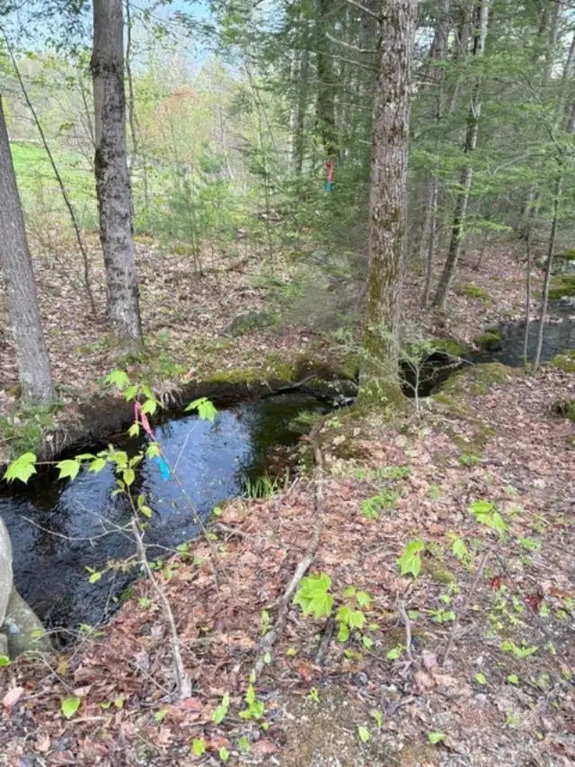 B-19-1 Wilton Road, Mason, NH 03048 - #3
