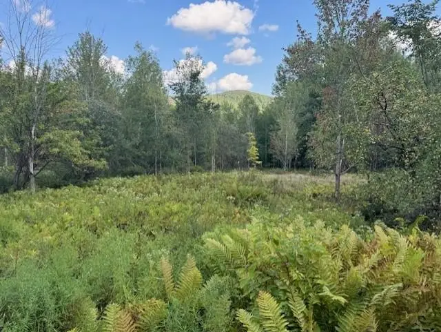 00 Westhill Road, Montgomery, VT 05470 - #1