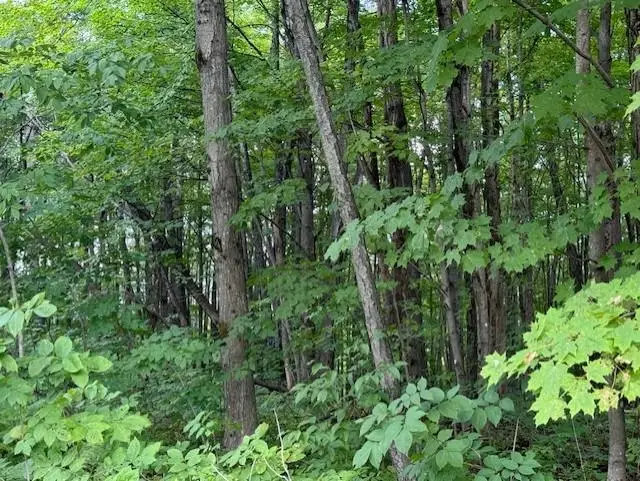 00 Westhill Road, Montgomery, VT 05470 - #3