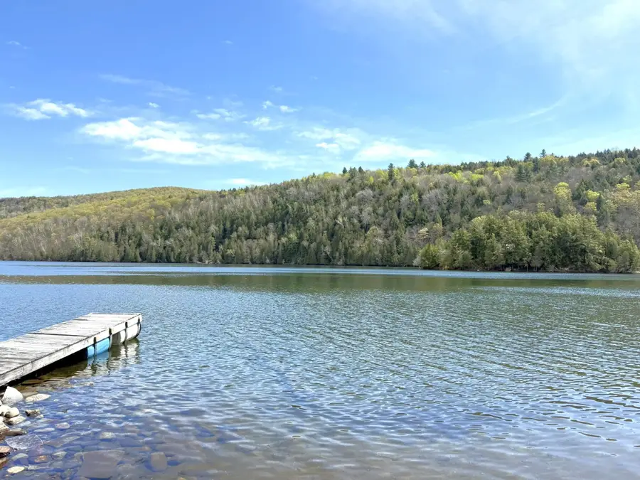 1338 Eligo Lake Road, Greensboro, VT 05841 - #2