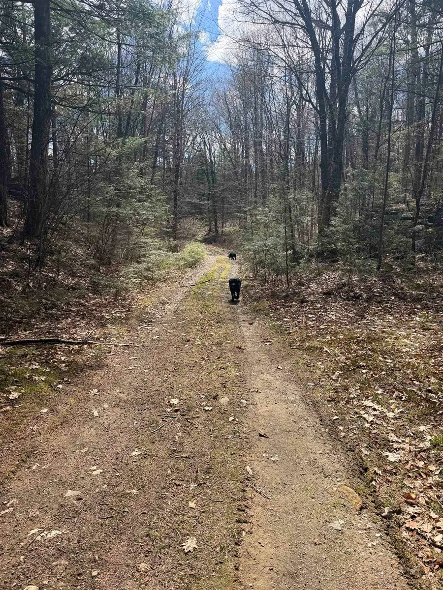 R29L9 Roxbury Road #Lot 9, Meredith, NH 03253 - #2