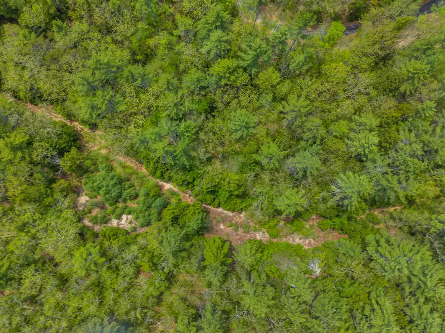 lot 14 Pine Point Road, New Durham, NH 03855 - #2