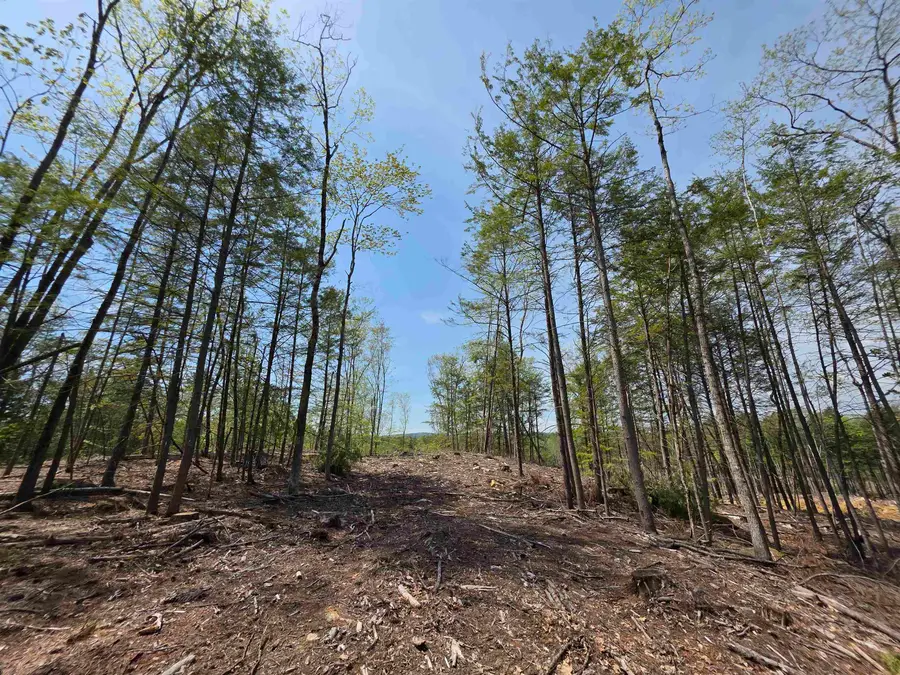 Map 417 Lot 51-1 Shannon Road, Gilmanton, NH 03237 - #3