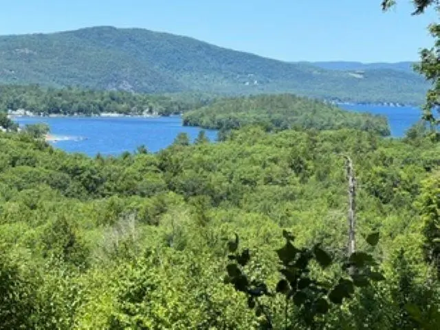 207 Overlook Drive #217-133-1, Bristol, NH 03222 - #1