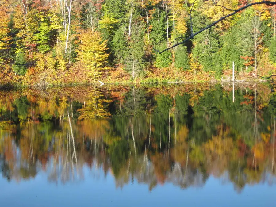 157 Gut Pond Drive, Eden, VT 05653 - #2