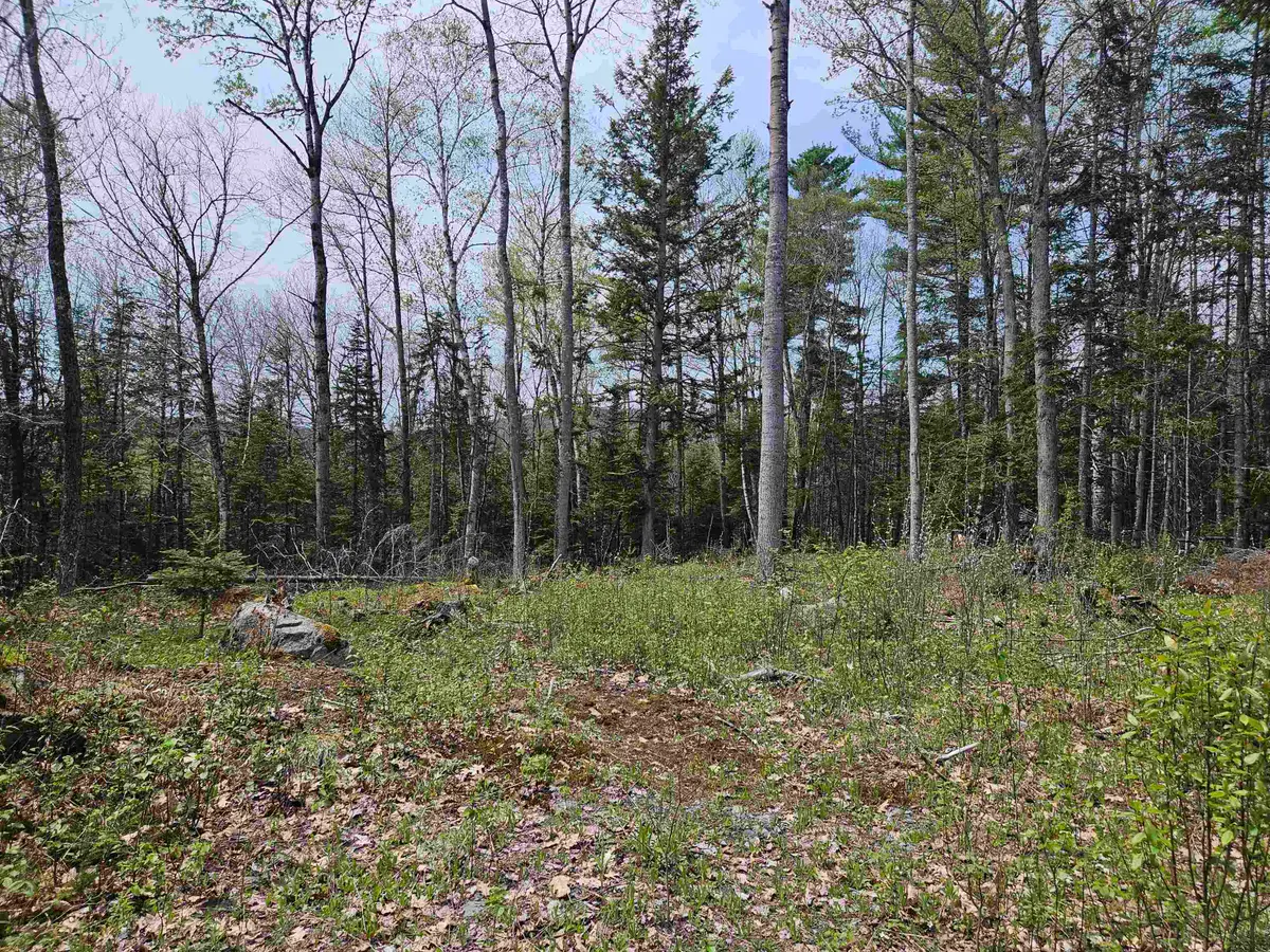 Lot 10.1 Wallace Hill Road, Franconia, NH 03580 - #1