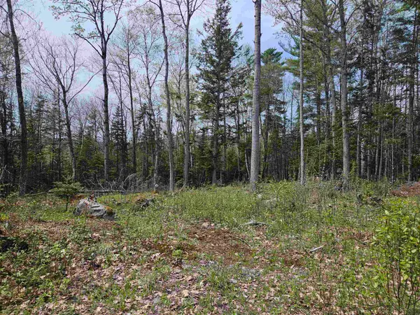 Lot 10.1 Wallace Hill Road, Franconia, NH 03580