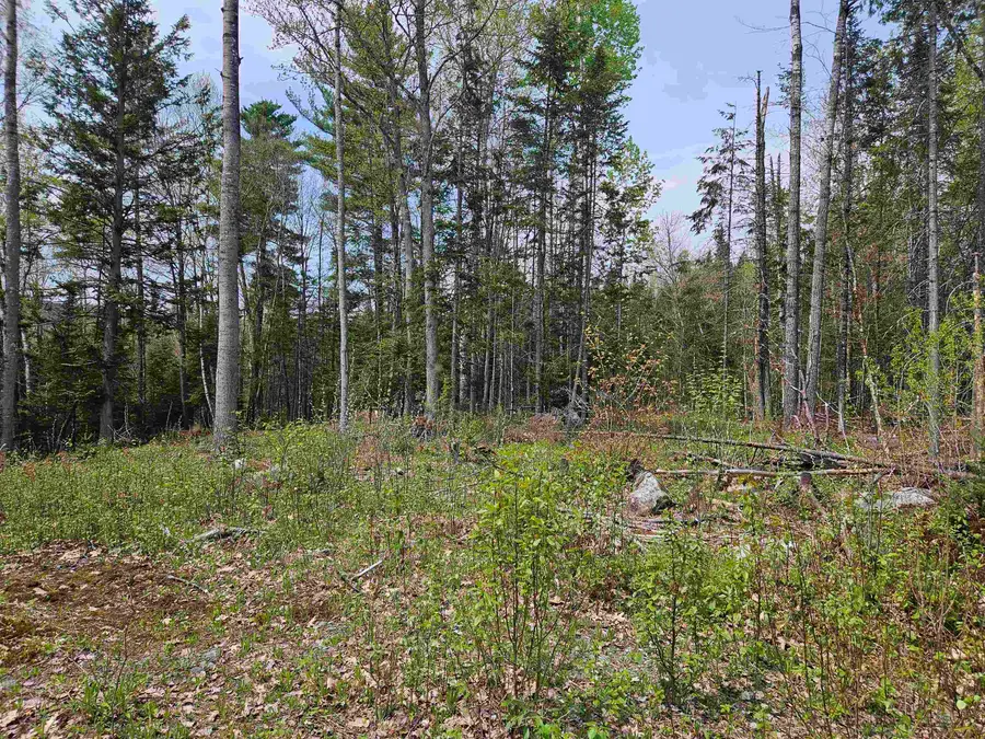 Lot 10.1 Wallace Hill Road, Franconia, NH 03580 - #2
