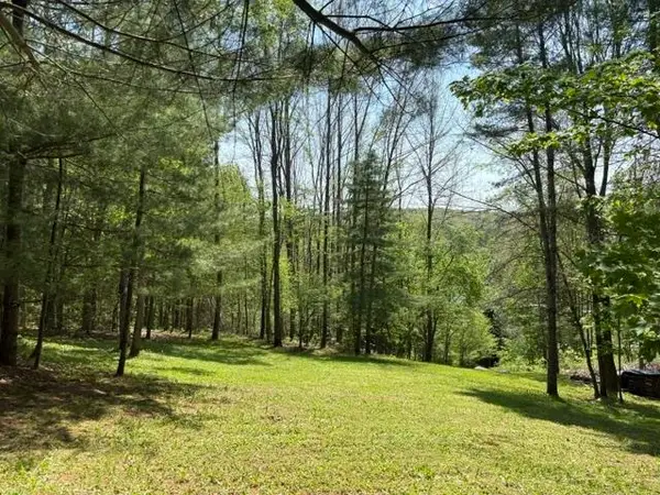 0 Gold Coast Road, Bridgewater, VT 05034