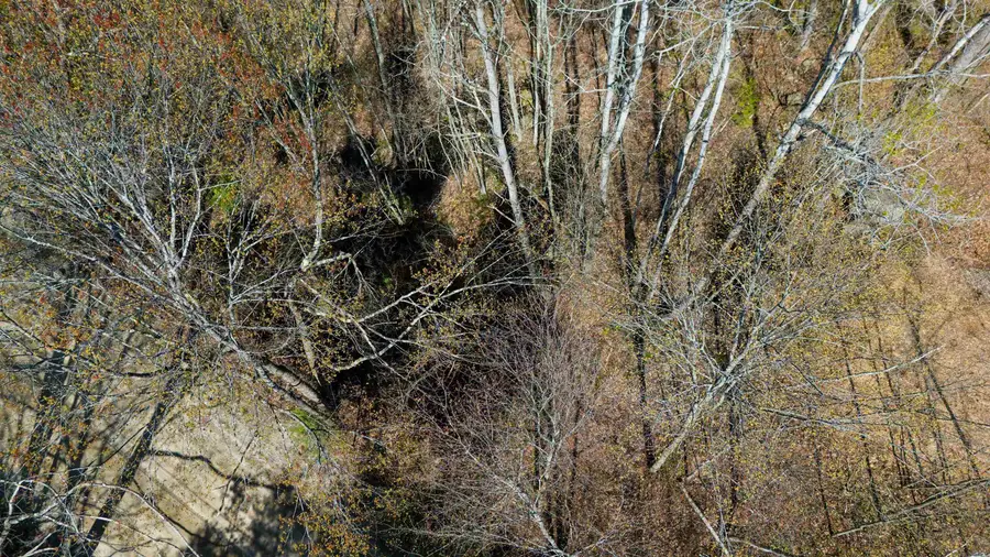 Moccasin Trail #616, Hillsborough, NH 03244 - #3