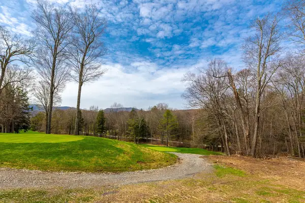 530 Finbars Forest Road, Manchester, VT 05255