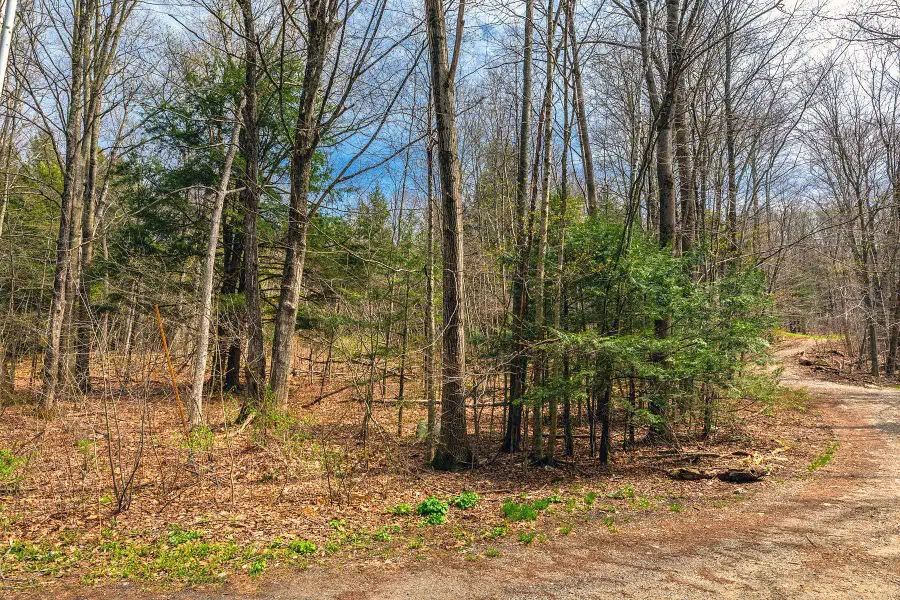 530 Finbars Forest Road, Manchester, VT 05255 - #2