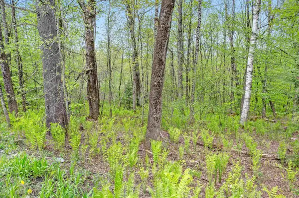 753 Scrabble Hill Road #2, Duxbury, VT 05676