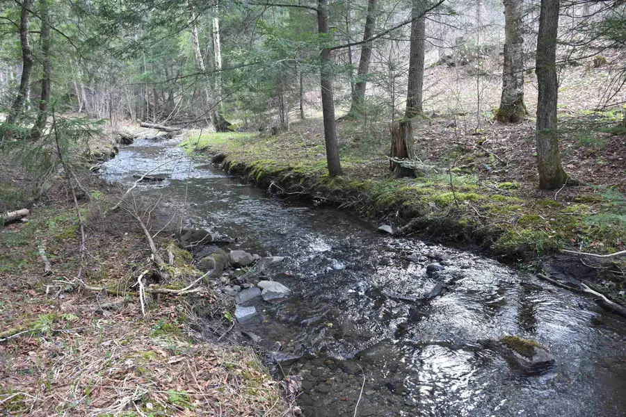 Lot B Windmill Lane, Williamstown, VT 05679 - #2