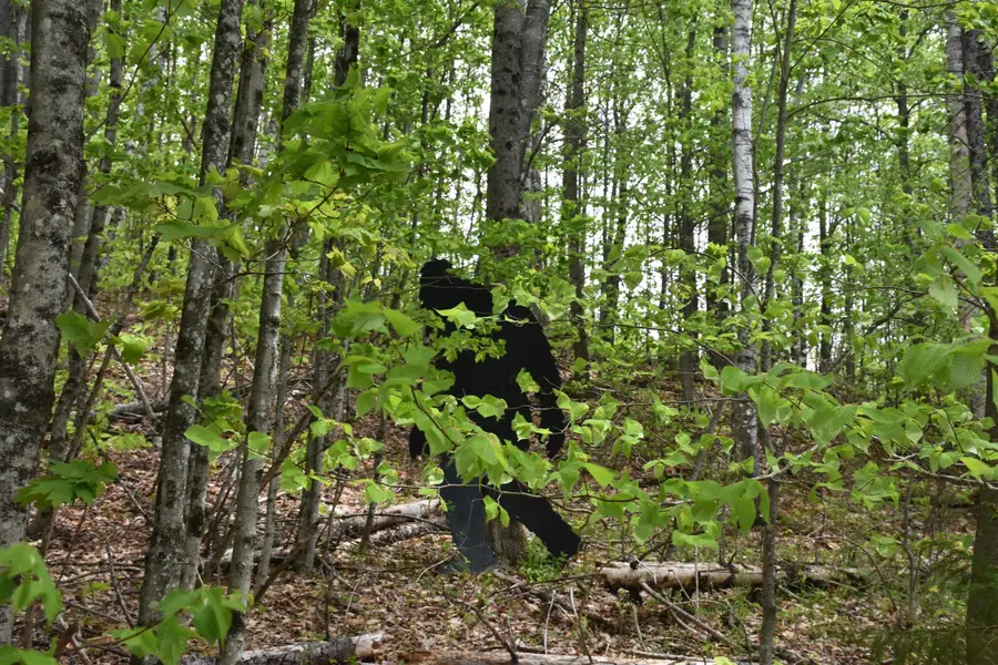 Lot B Windmill Lane, Williamstown, VT 05679 - #3
