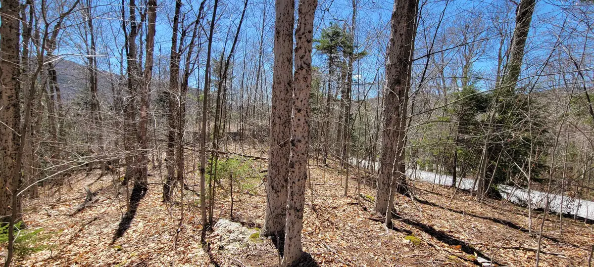 7 Spring Hill Road, Killington, VT 05751 - #1