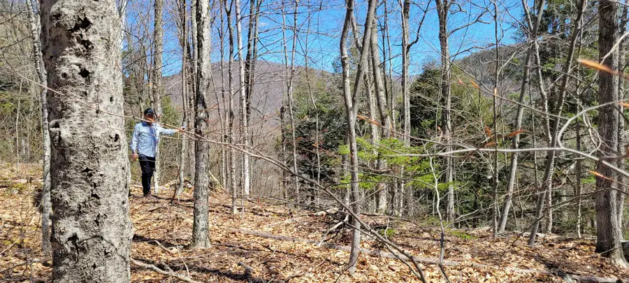 7 Spring Hill Road, Killington, VT 05751 - #2
