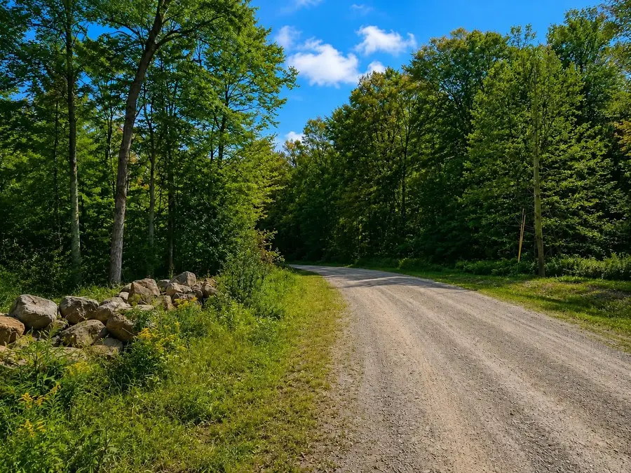 270 Bergabhang Drive, Stamford, VT 05352 - #3