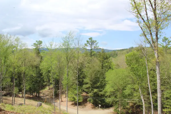 Lot 23/24 Wetherbee Road, Lyman, NH 03585