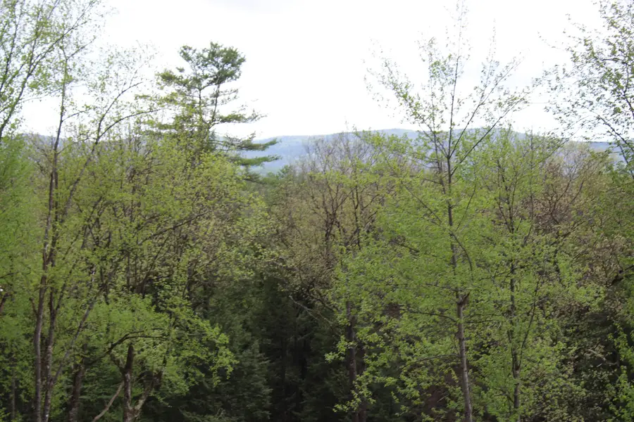 Lot 23/24 Wetherbee Road, Lyman, NH 03585 - #2