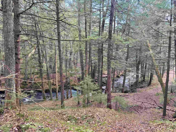 TBD Buck Hill Road, Westfield, VT 05874