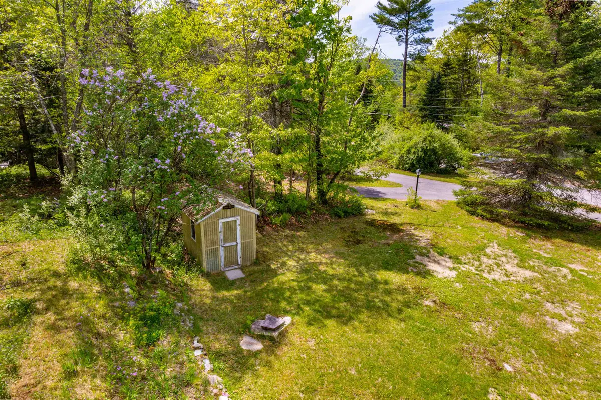 165 Prospect Street, Bristol, NH 03222 - #1
