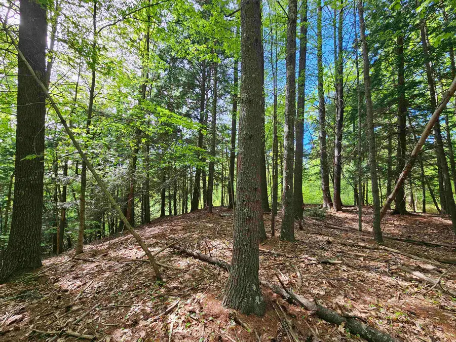 Lot 26 Province Road, Belmont, NH 03220 - #2