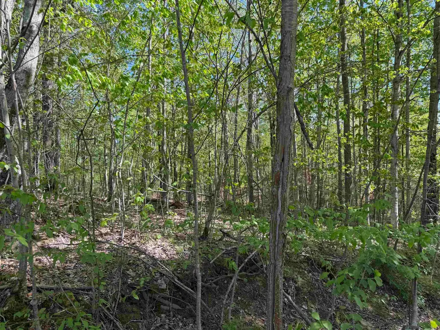 550 Petit Road, Coventry, VT 05825 - #3
