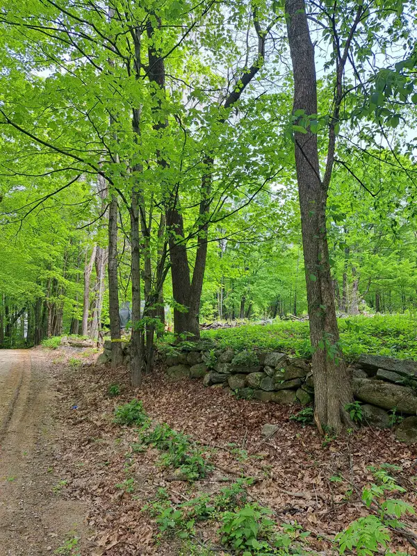 81 Hart Farm Road, Deering, NH 03244