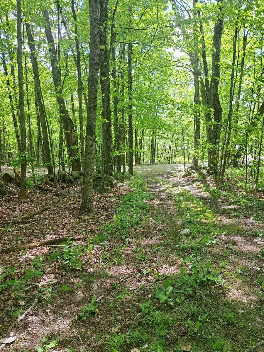 81 Hart Farm Road, Deering, NH 03244 - #3