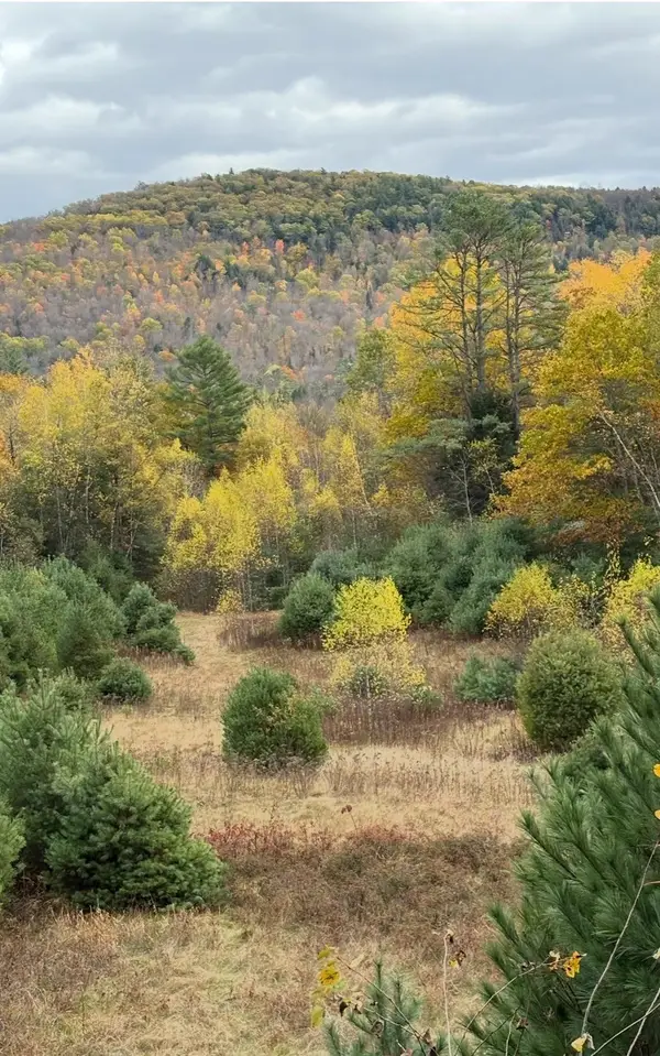 Lot 4 Catterall Road, Lisbon, NH 03585