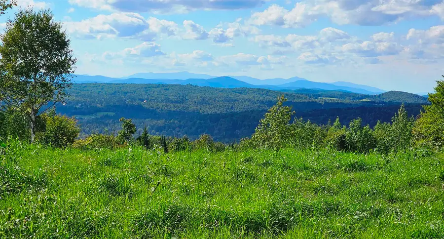 600 Davidson Drive, Walden, VT 05873 - #3