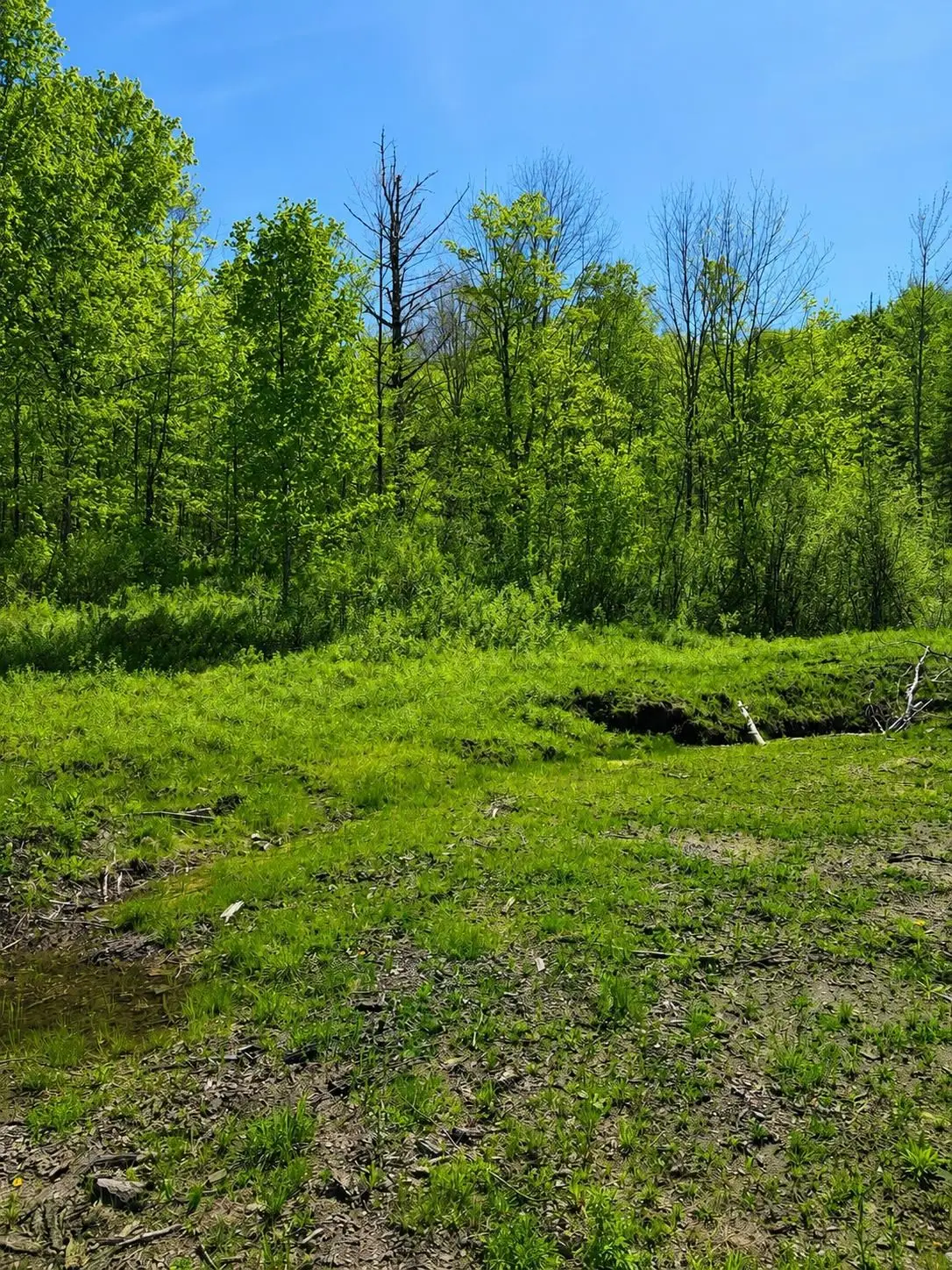0 Blake Hill Road, Woodbury, VT 05681 - #1